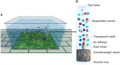 Innovative inbuilt moving bed biofilm reactor for nitrogen removal applied in household aquarium